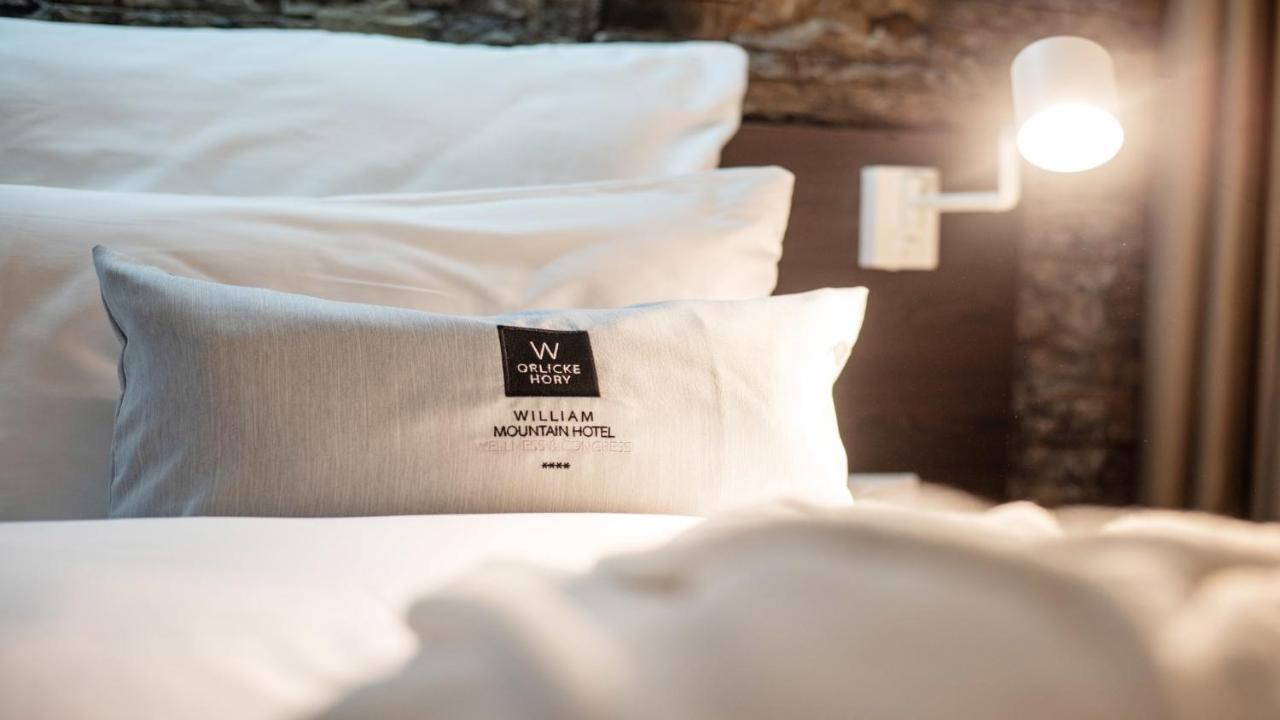 William Congress&Wellness Mountain Hotel **** Destne v Orlickych horach Extérieur photo