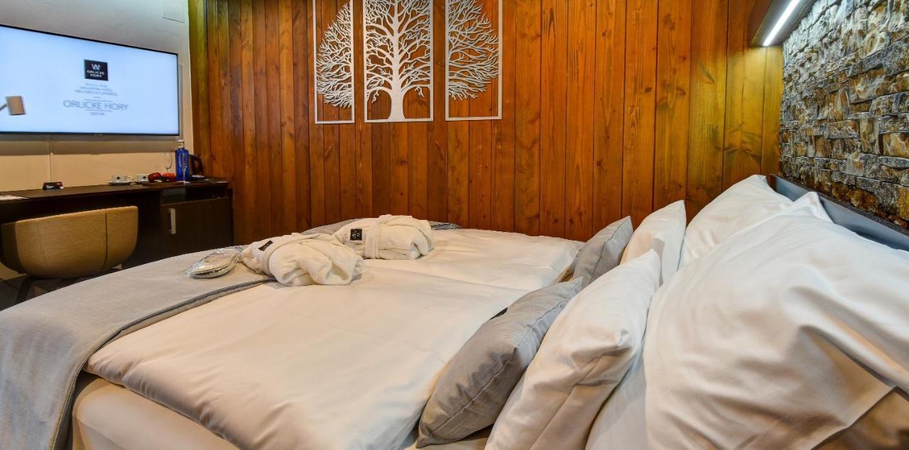 William Congress&Wellness Mountain Hotel **** Destne v Orlickych horach Extérieur photo